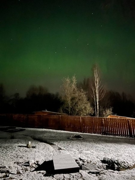Фото: В Ленобласти сияло прямо как в Териберке. Оцените