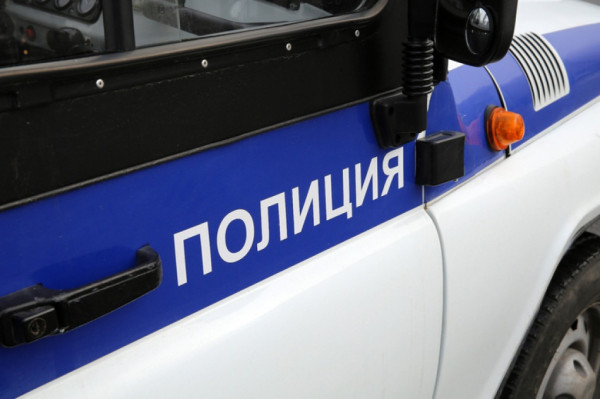 Полицейские задержали петербуржца за пьяные нападения на женщин в Колпино