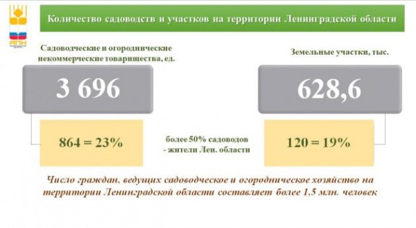 Газификация, дороги, реконструкция сетей. Правительство Ленинградской области пообещало помощь СНТ, но к 2030 году
