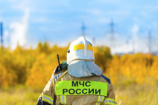 27 декабря: какой праздник сегодня