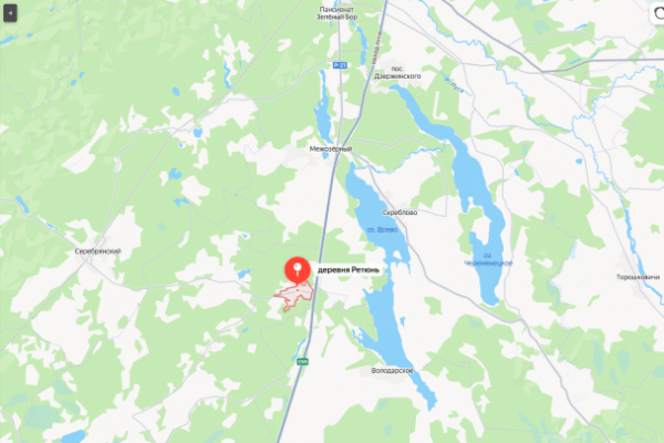 Под Лугой ищут пропавшего рыбака