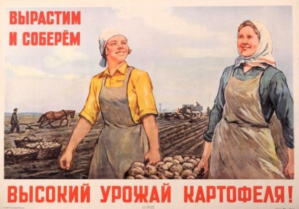 А кто не будет ее сажать &ndash; отрубим уши. Как зовут еду последней надежды