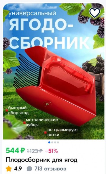 Черничное настроение в лесах под Петербургом. Где найти ягоду и как вкуснее съесть Черничное настроение в лесах под Петербургом. Где найти ягоду и как вкуснее съесть