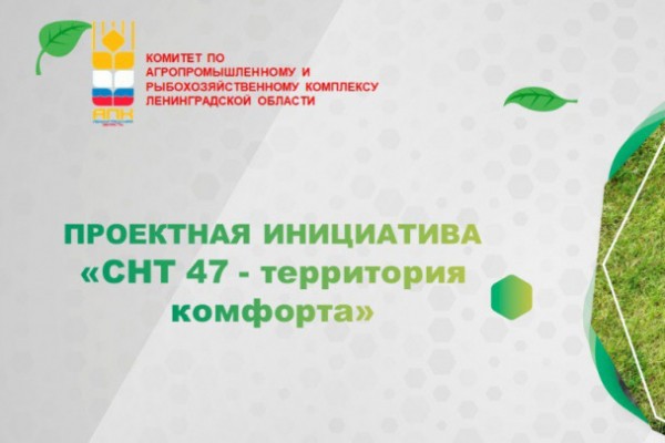 Газификация, дороги, реконструкция сетей. Правительство Ленинградской области пообещало помощь СНТ, но к 2030 году