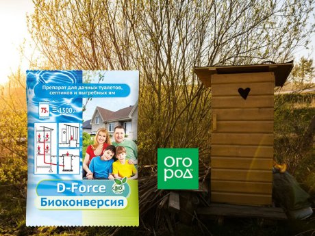 Без запаха и мух &ndash; доводим дачный туалет до городских стандартов