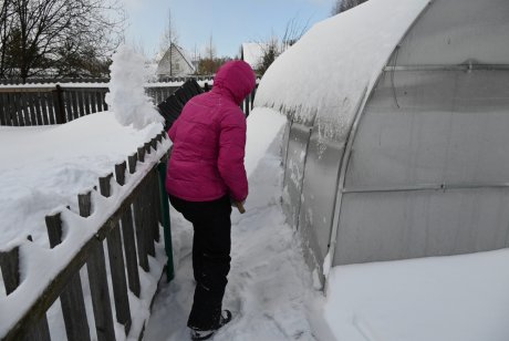 Календарь ухода за необогреваемой теплицей на весь год