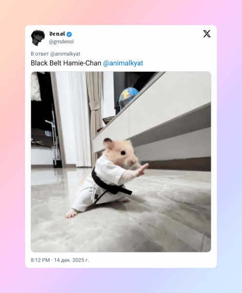 В Сети завирусился хомяк в позе кунг-фу — его одели в кимоно и отправили на ринг