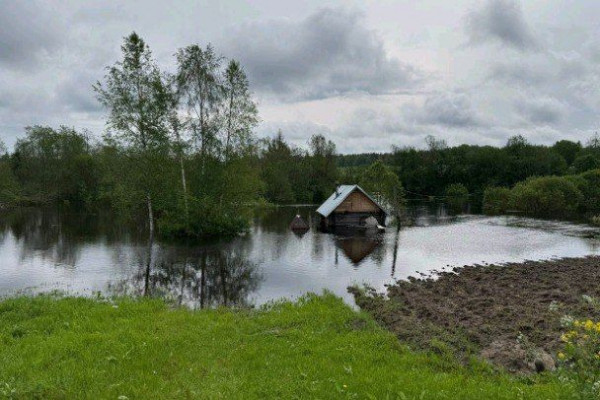 &laquo;Лебедь утонул, дрова уплыли&raquo;. Деревни уходят под воду
