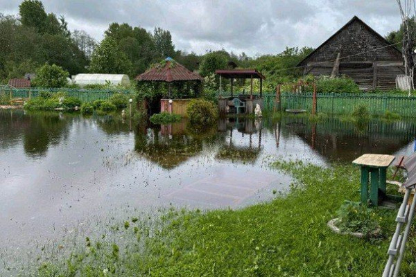 &laquo;Лебедь утонул, дрова уплыли&raquo;. Деревни уходят под воду