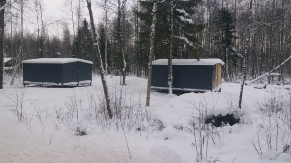 Кому земля, а кому власть родная. Под Петербургом отдали за бесценок берег Ладожского озера