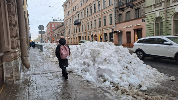 В Петербурге ежедневно вывозят тысячи самосвалов снега с городских улиц В Петербурге ежедневно вывозят тысячи самосвалов снега с городских улиц