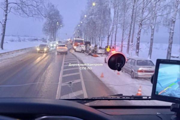 Стали известны причины смертельного ДТП на трассе под Гатчиной