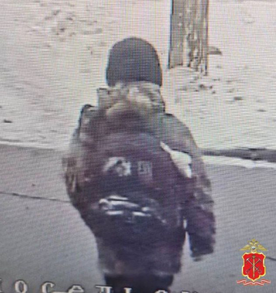 За 2 дня не нашли. После исчезновения 9-летнего школьника в Петербурге возбуждено уголовное дело по покушению на убийство