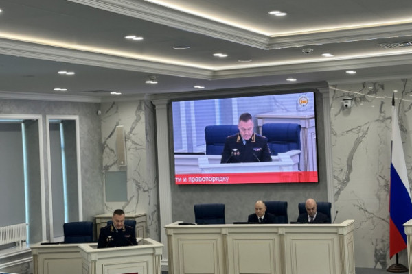 Глава ГУ МВД Плугин: Таких случаев, как &laquo;дело Долиной&raquo;, в Ленобласти было под 30 штук