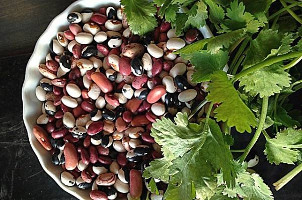 Все роли фасоли. Чем опасен идеальный зимний продукт?
Все роли фасоли. Чем опасен идеальный зимний продукт?