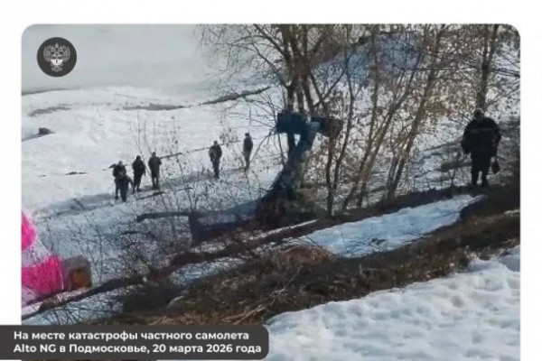 Легкомоторный самолет разбился в Подмосковье. Есть погибшие