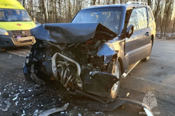 Под Гатчиной разбились Hyundai и Mitsubishi, один водитель погиб