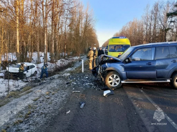 Под Гатчиной разбились Hyundai и Mitsubishi, один водитель погиб