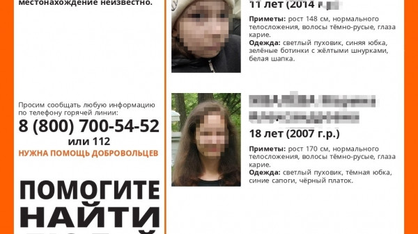 Для них адвокаты &mdash;&nbsp;слуги антихриста: петербуржец хочет лишить мать родительских прав после истории детей в секте