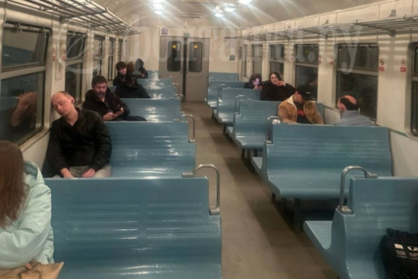 Упавшее дерево задержало электрички в Петербурге и Ленобласти