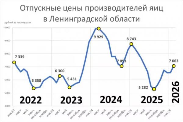 Разбитые яйца. Областные птицефабрики теряют выручку и уходят в минус