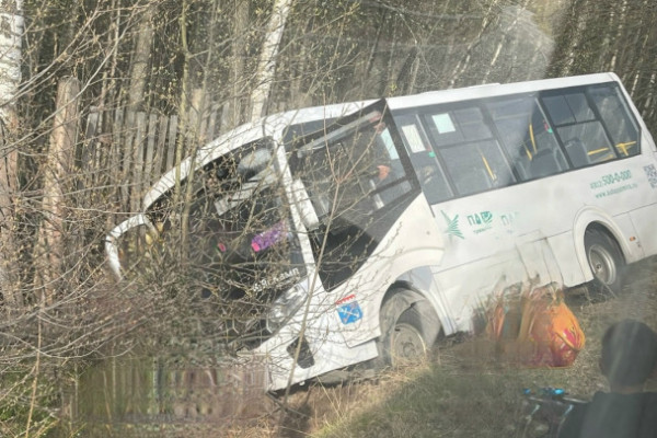 У Шепелево автобус улетел в кювет. Причина может быть в рулевой рейке