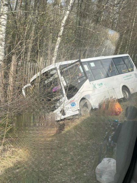 У Шепелево автобус улетел в кювет. Причина может быть в рулевой рейке