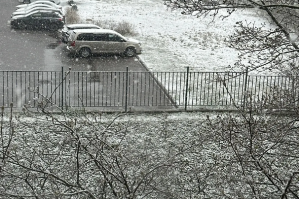 В Выборге повалил снег. Фото и видео побелевших улиц В Выборге повалил снег. Фото и видео побелевших улиц