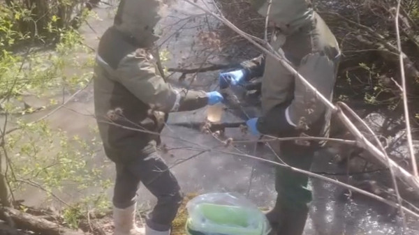 Химикаты попали в Неву через реку Мурзинка. Мутная вода привела петербуржцев к &laquo;Экопром&raquo;