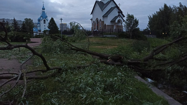 Петербуржцам закроют вход в парки на одну ночь из-за сильного ветра