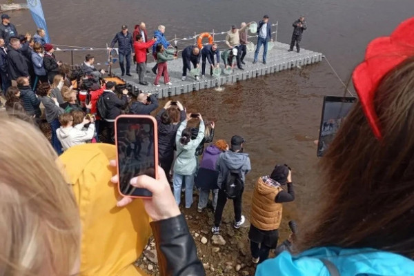 Тысяча мальков сиганула в Bолхов, а дипломаты поели корюшки. B Новой Ладоге - вкусный фестиваль