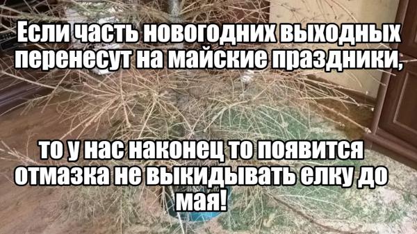 Отменят штрафы за несдачу 3-НДФЛ. 🏠&laquo;Ночной бухгалтер&raquo; № 2170