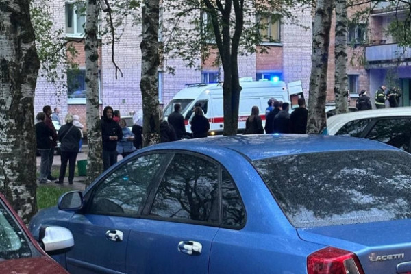 Студия сгорела в Сосновом Бору. Местные говорят &mdash; из окна выпрыгнул мужчина