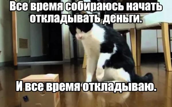 Бумажные чеки ККТ отменят, будут только электронные. 🔭&laquo;Ночной бухгалтер&raquo; № 2168