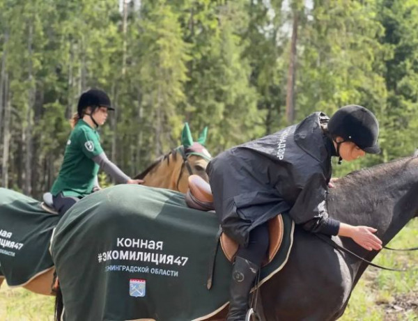 В Ленобласти появилась конная экомилиция
