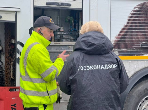 Экомилиция провела рейд в Ломоносовском районе. Два самосвала отправились на спецстоянку