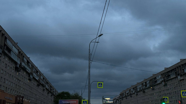 На тротуар Петербурга обрушился камнепад из-за сильного ветра