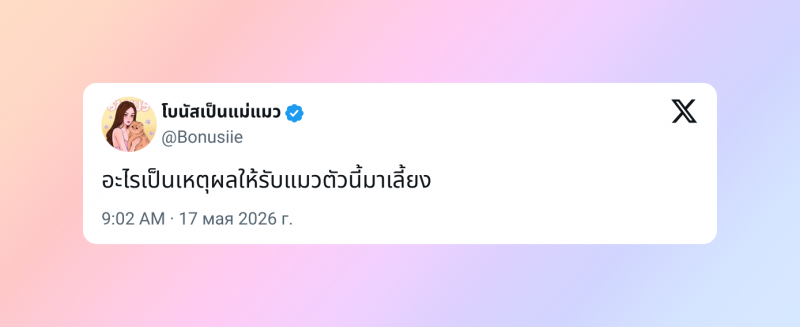 &laquo;Сразу почувствовали&raquo;: пользователи Сети поделились историями, как приютили бездомных котиков