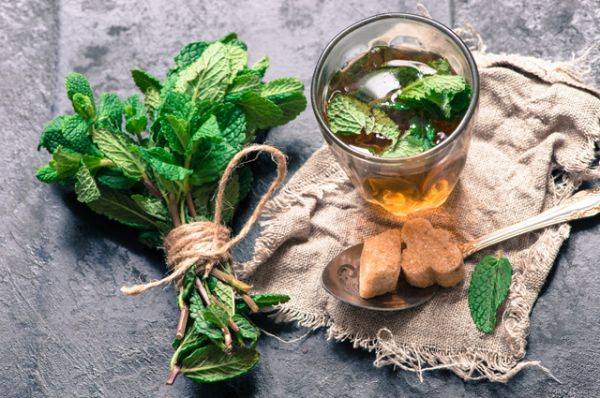 
        Летний бум. Самые вкусные и креативные рецепты с ягодами    