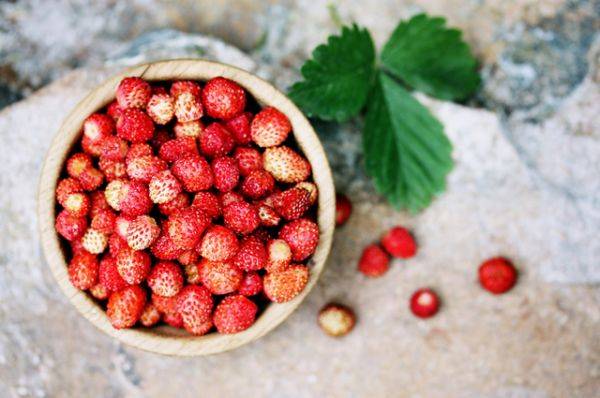 
        Летний бум. Самые вкусные и креативные рецепты с ягодами    
