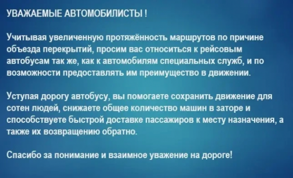 Власти Ленобласти просят: относитесь к автобусам в Лебяжьем и Большой Ижоре как к автомобилям спецслужб