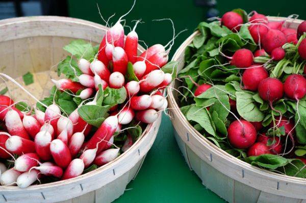 
        Летний бум. Самые вкусные и креативные рецепты с ягодами    