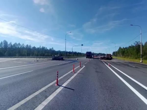 Фатальное ДТП с фурой и Audi под Лугой стало уголовным делом, шофер задержан