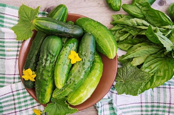 
        Огурцы жареные и тушеные. Рецепты русской кухни &mdash; так готовили наши бабушки    