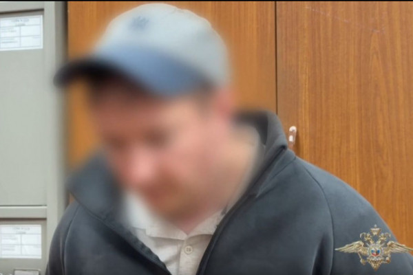 Хотел бежать из страны с миллионом. Суд арестовал обвиняемого в убийстве 12-летней школьницы под Тосно