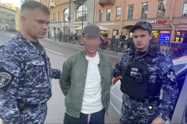 В центре Петербурга грабитель с ножом напал на прохожего