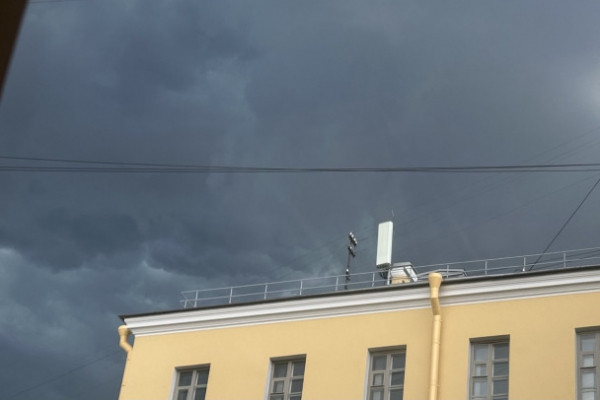 Вместе с жарой в Ленобласть пришли град и деревопад - фото и видео