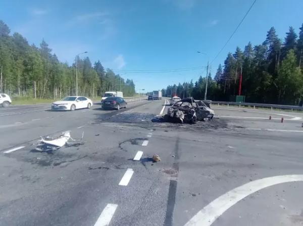 Фатальное ДТП с фурой и Audi под Лугой стало уголовным делом, шофер задержан