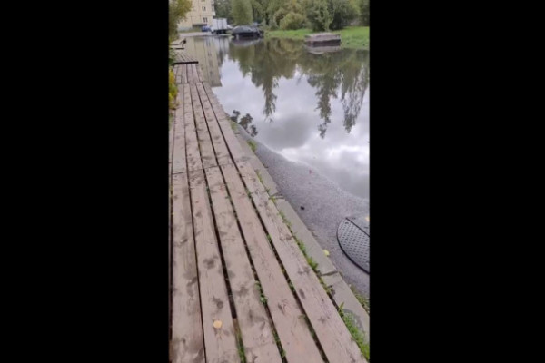 "Вы видите, а мы нюхаем". В Тосно полмесяца наблюдают зловонную воду у дома - видео