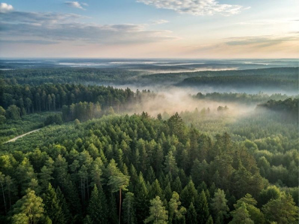 15 сентября: какой праздник сегодня